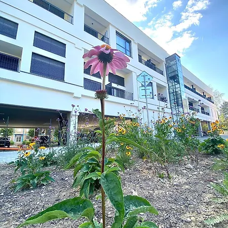 Loft Denari * Stará Turá